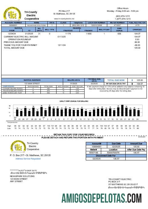 imprimível Modelo de conta de serviços públicos da cooperativa elétrica do Tri County dos EUA em formatos Word e PDF